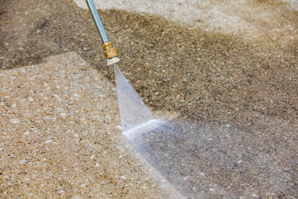 Best Animal Enclosure Cleaning  in Great Notch, NJ